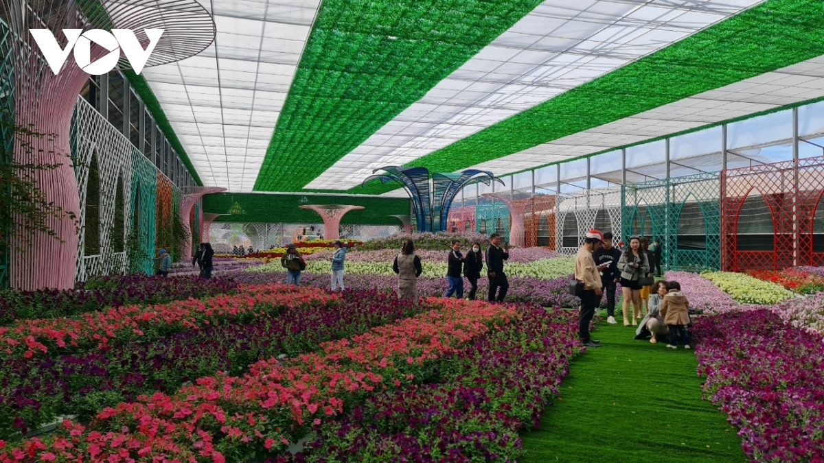 Plơi bơnga Vạn Thành, phường 5, plơi prong Đà Lạt čơkă tuai