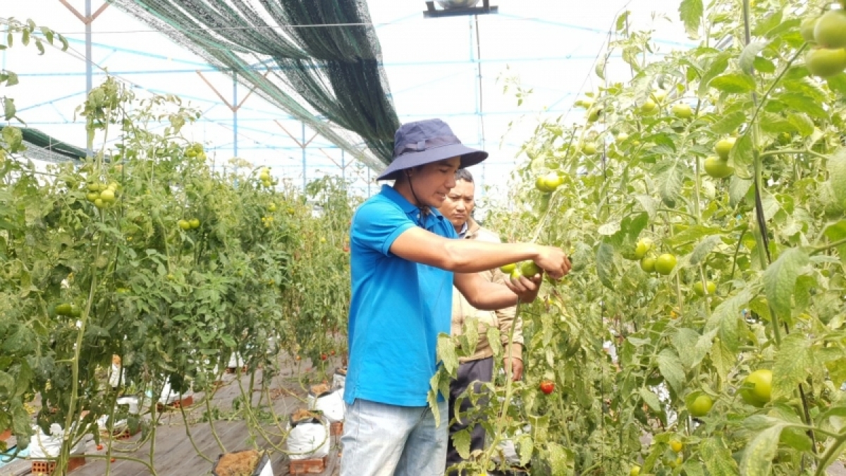 
Broă lơh bal lơh sa geh cồng nha làng bol dê