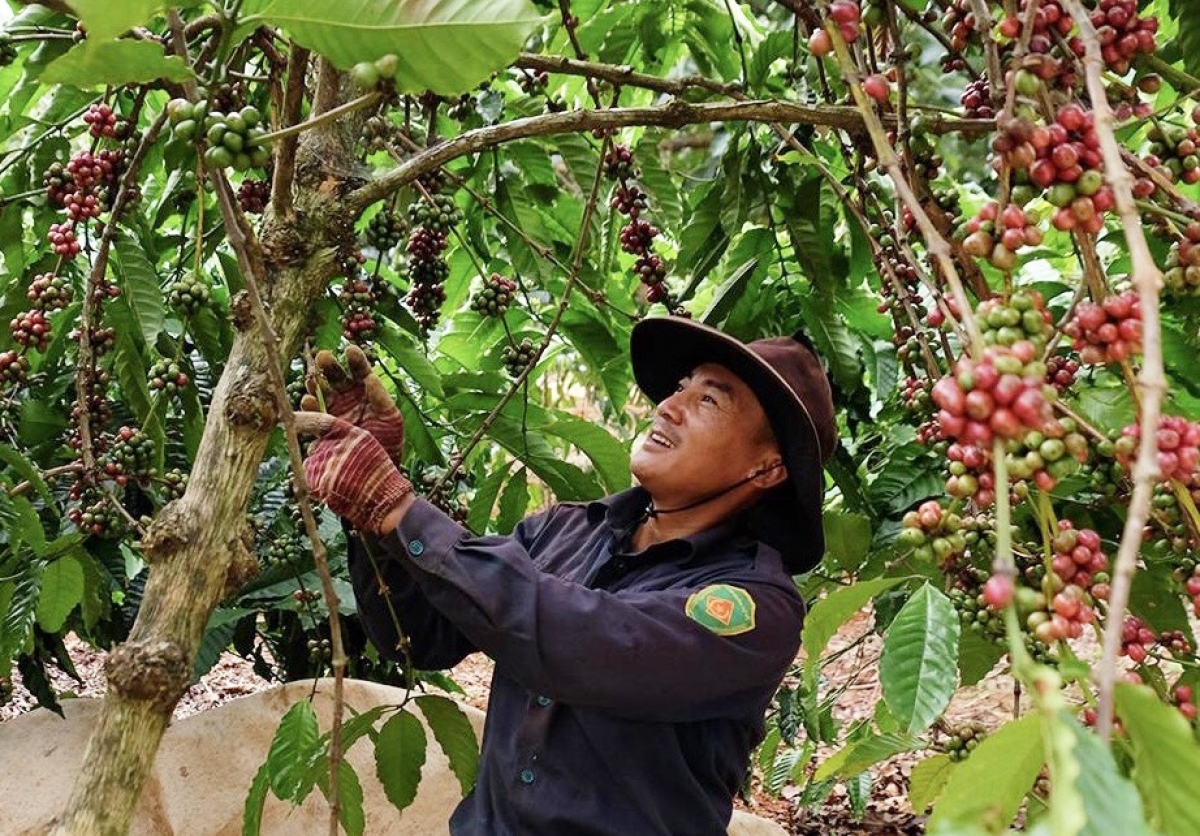 Urang nong tỉnh Bình Phước