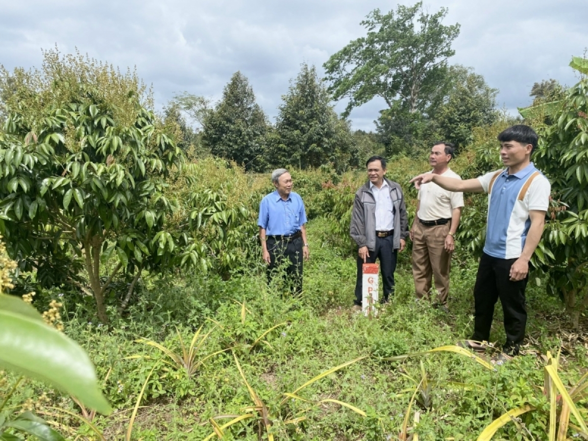 
  Tơring Krông Pač (Dak Lak) pêi hiăng vâ klêi tơdroăng vê hdró tơnêi, riân ngăn loăng plâi a tơnêi xĕn tiô tơdroăng tơkêa pro troăng kân tơdrăng lĕm Khánh Hòa - Ƀuôn Ma Thuột 