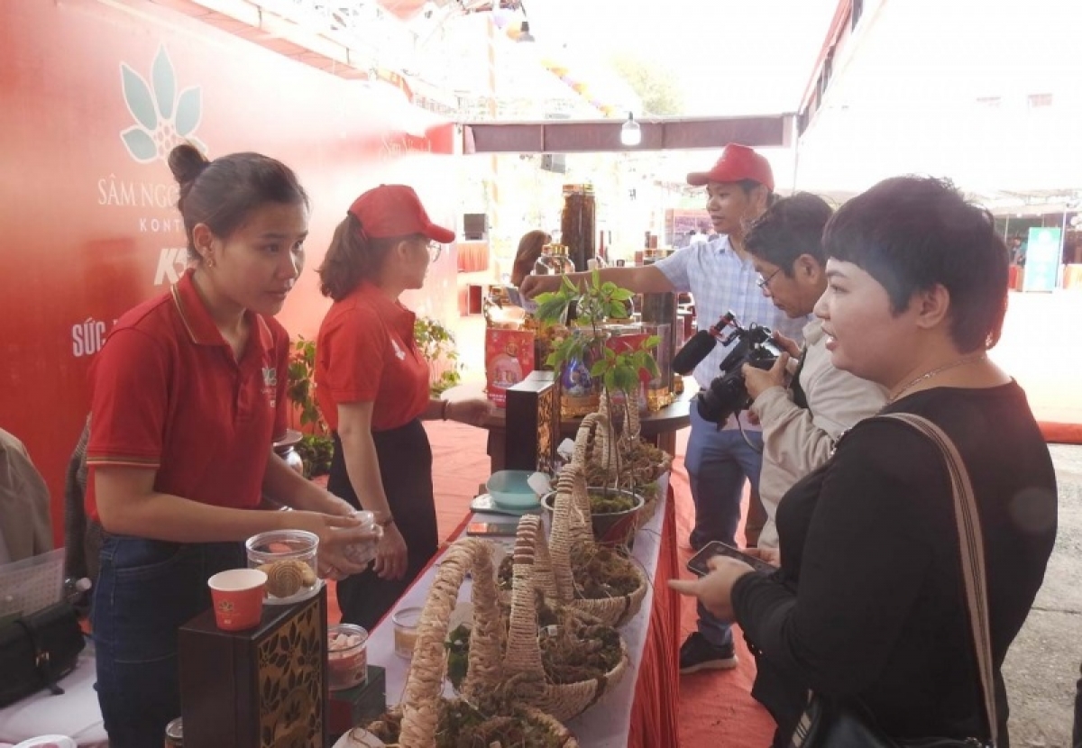 
Po kơchơ Sâm Ngọc Linh tơring Tu Mrông