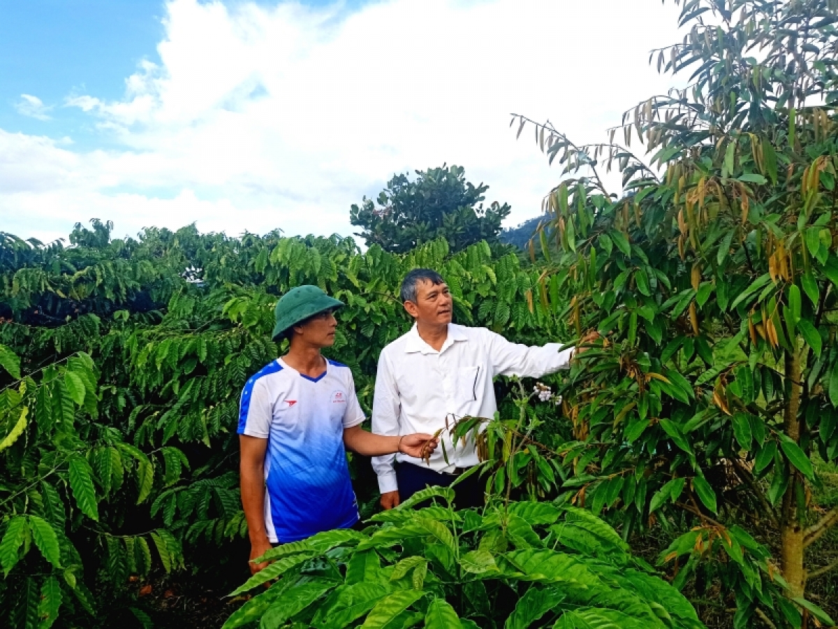 Ƀí thư Đảng ủy xã Yang Mao ồng Trần Thế Thành (soh ào sơmi kò) tus sền broă lơh sa đảng viên gam kơnòm să