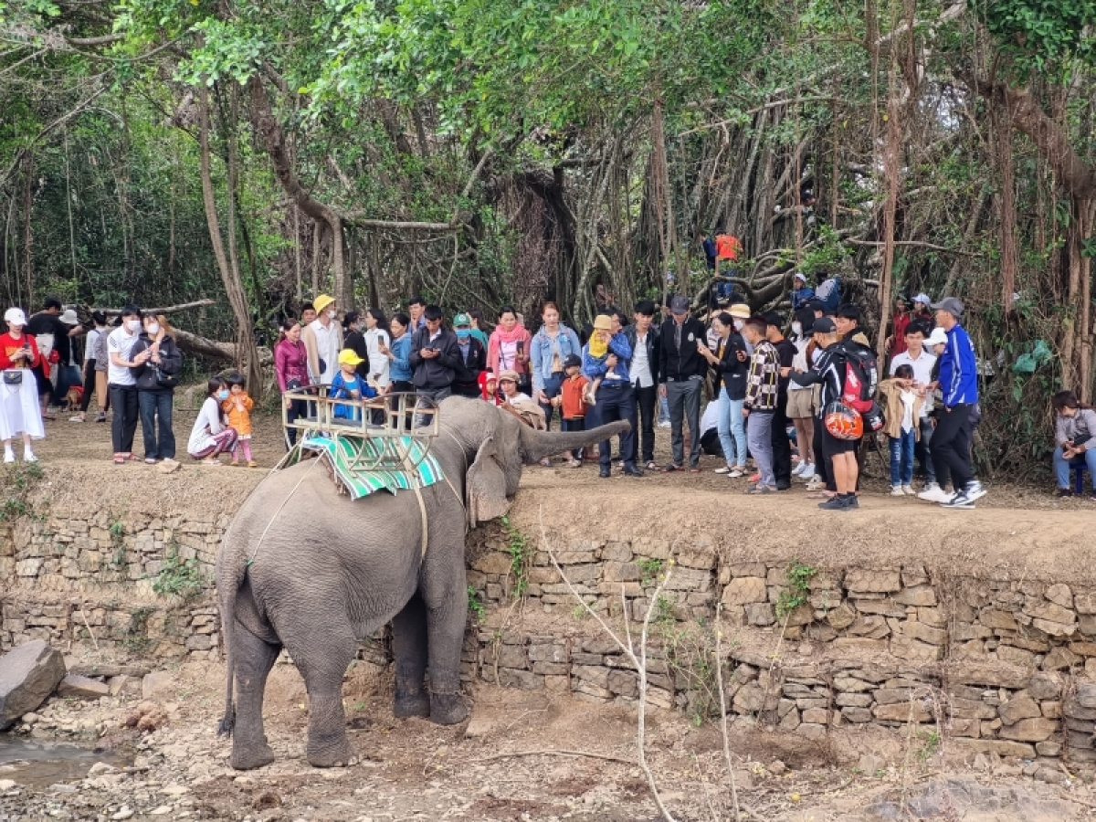 Broă lơh nhơl chờ rơ was rềp mềr gam geh ngui tàm Dăk Lăk