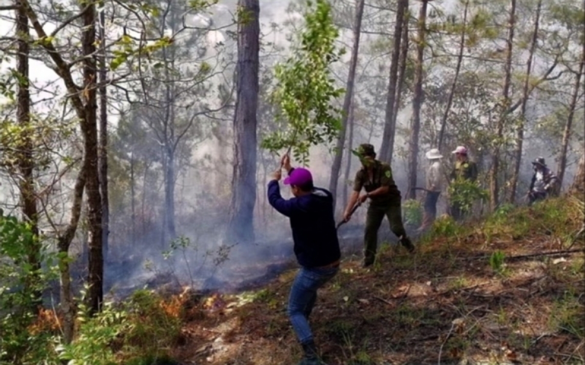 
Rơcăng lài chu jơh ñhơ̆t chi che hòn lềng nàng rơcăng sơndră ồs sa brê tàm càr Lâm Đồng