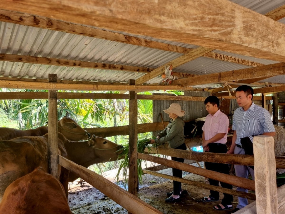 Knơm tơm prăk manh chính sách xã hội, rnăk wa Nguyễn Thị Tín lĕ hun hao