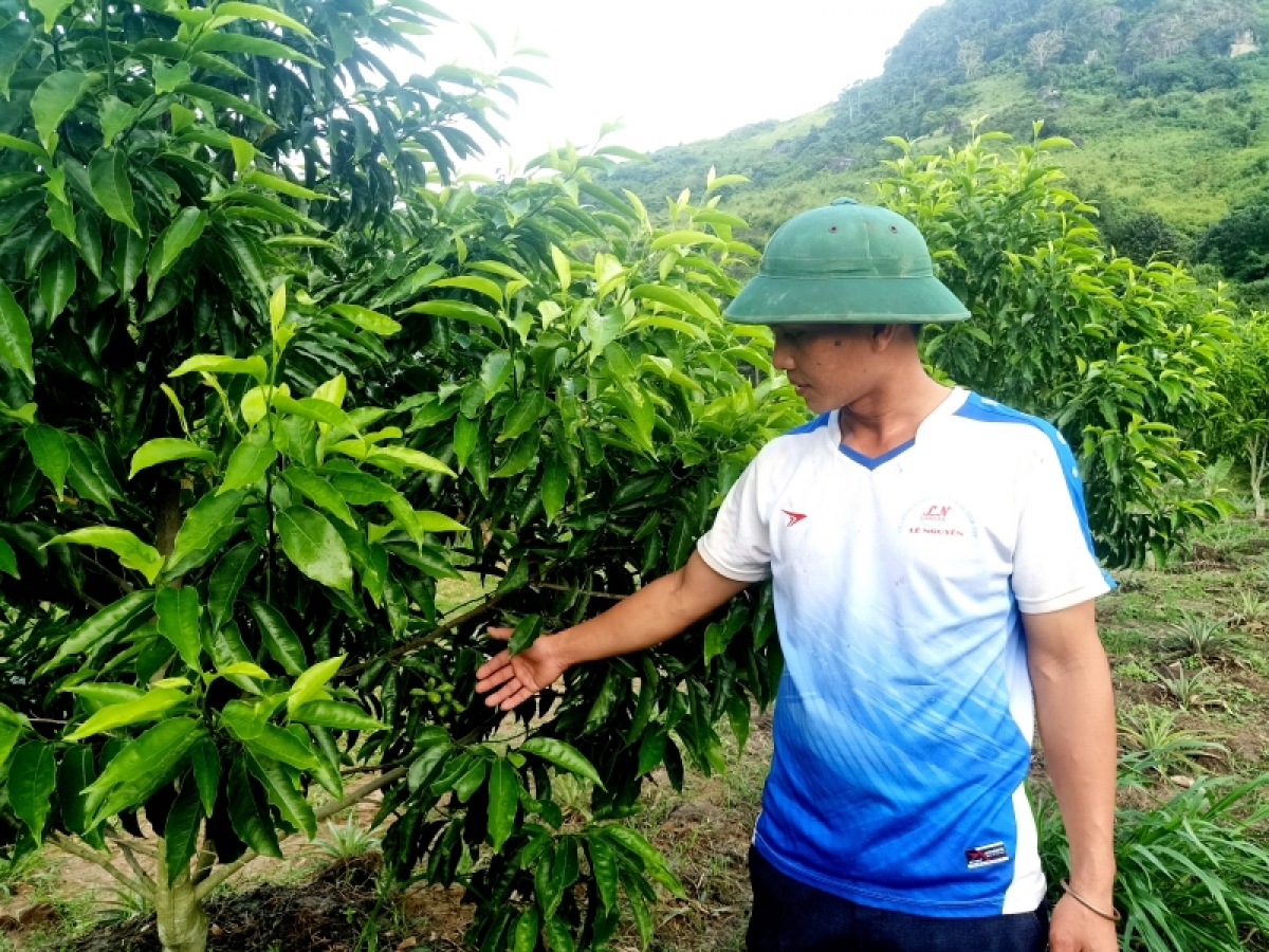 

Ngoh Y Luật Niê tơbleăng troăng pêi cheăng kâ dêi rơpŏng