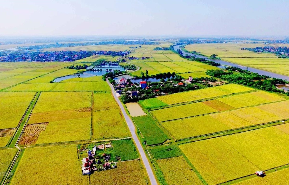 Taneh riya lac lac drap ar quý di urang nong