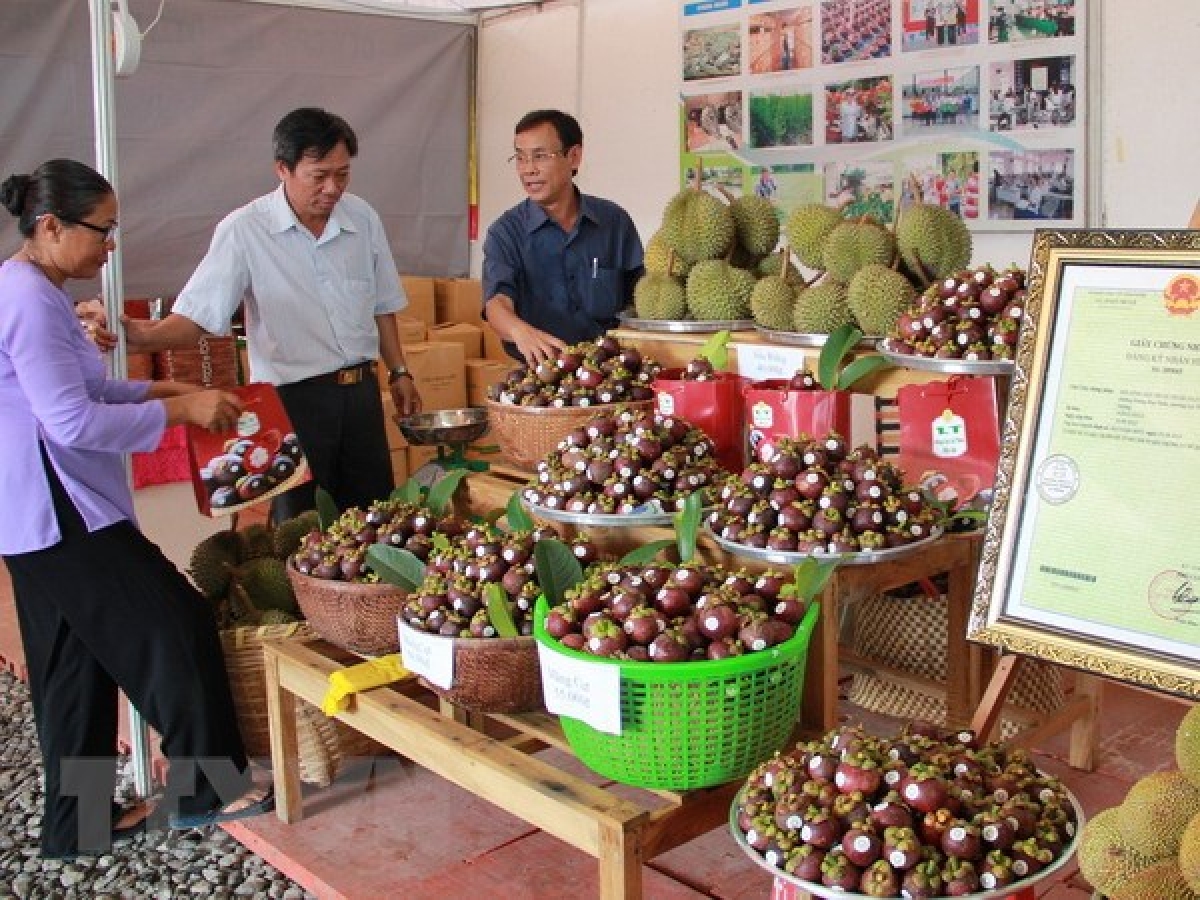 Dom angan pablei salih pandap hu tut angan tacei pato địa lý