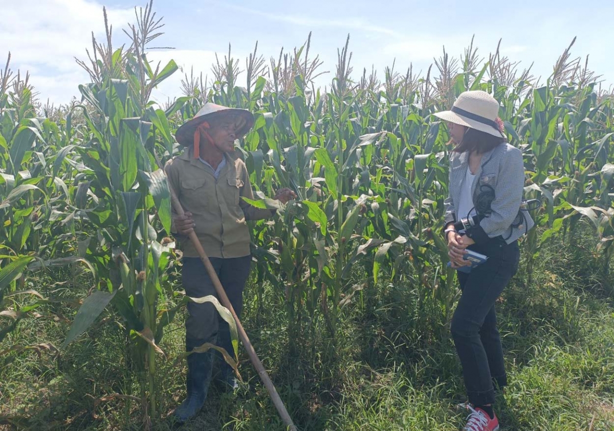 
Mơnuih ngă hmua pơhlôm hŭi khŏt ia amăng bơyan puih phang hăng bruă plih hĭ lŏn ngă hmua pơdai ia hơdai nao pla kơtor