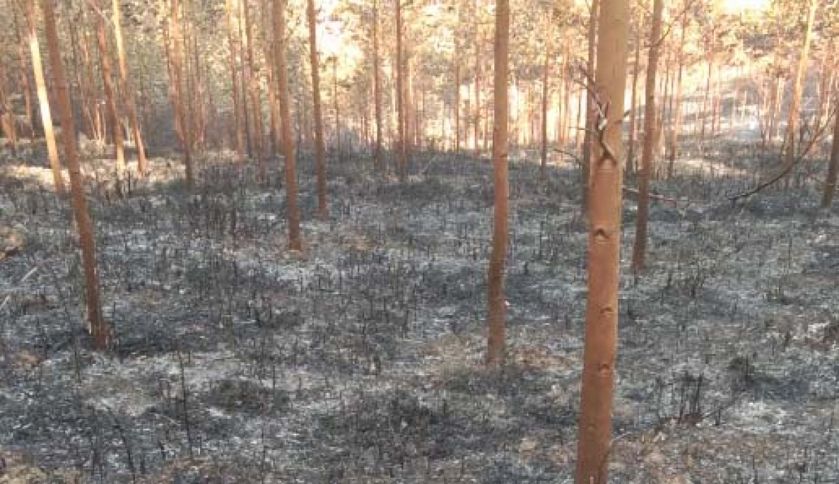 
Anih apui ƀong glai ngă 2 čô mơnuih amăng Khul pla glai pơkra hla pơ-ar Rơ Kơi djai.