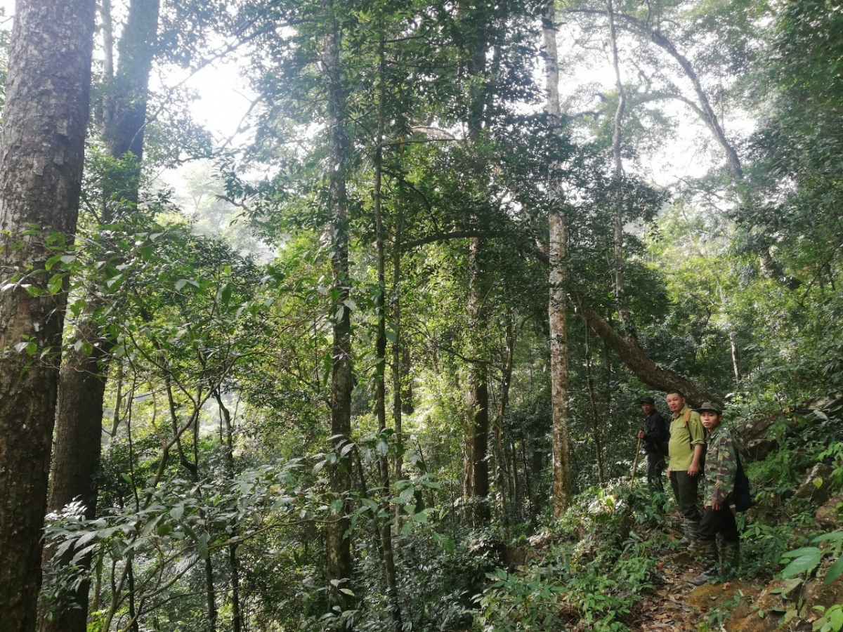 

Kuăn pơlê veăng rak ngăn kong a kơpong kong nhâ loăng Nam Xuân Lạc, kong pơlê Bắc Kạn