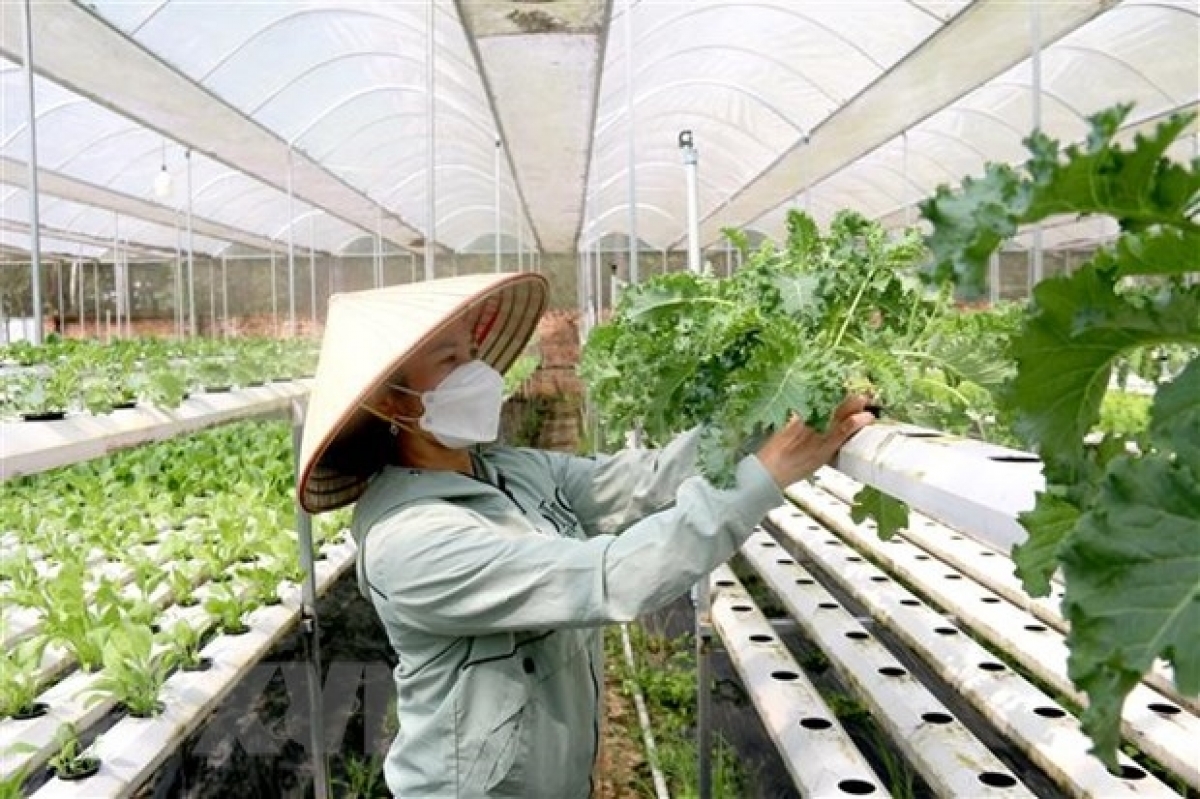 Djru kơ anom ngă ƀong hrom yua đah kơmơi ngă git gai hăng pơsir bruă mă kơ đah kơmơi hrơi