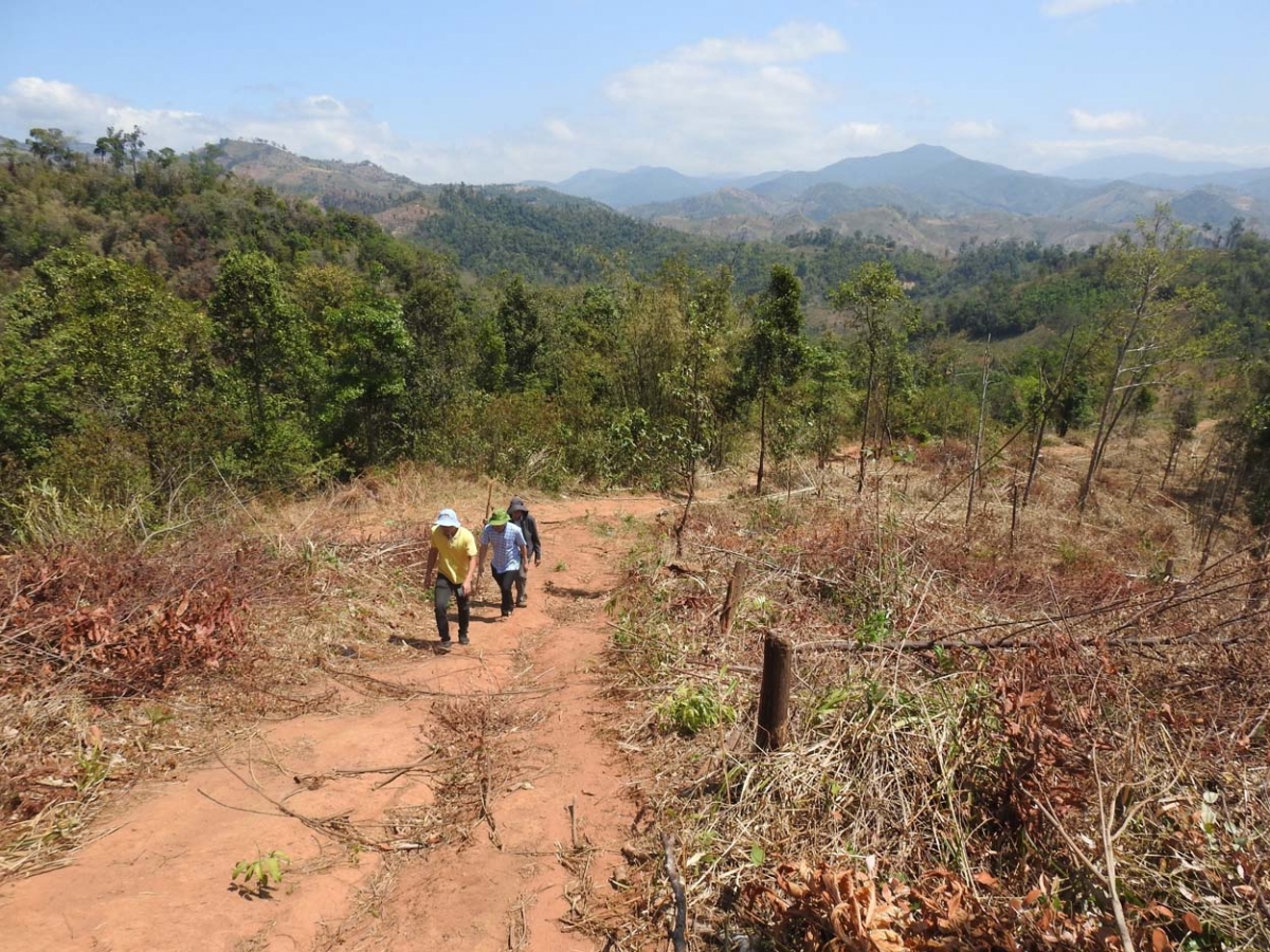 Hŭi biă mă apui ƀong glai yua mơnuih ƀôn sang čuh jơnah ngă hmua ƀơi să Đak Psi,
tơring glông Đak Hà, tơring čar Kon Tum