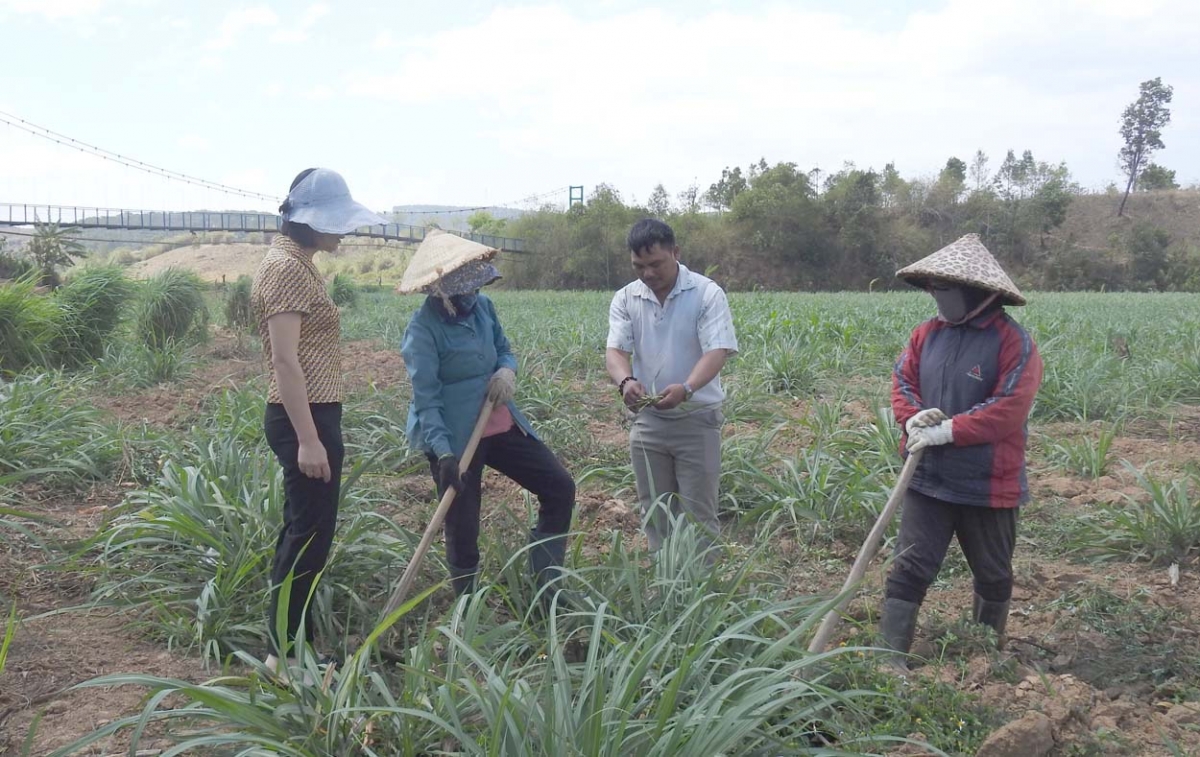 
Đảng viên a Don djâ troăng a hdrối mơjiâng ƀă deăng pêt kơtếo kân rơdâ a Đăk Trăm