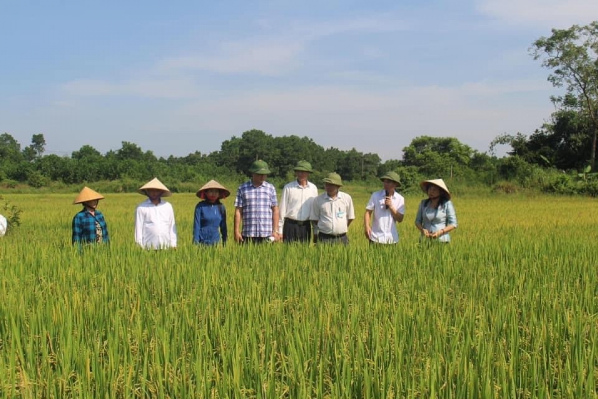 Mikva urang nong rivang mblang hamu padai siam