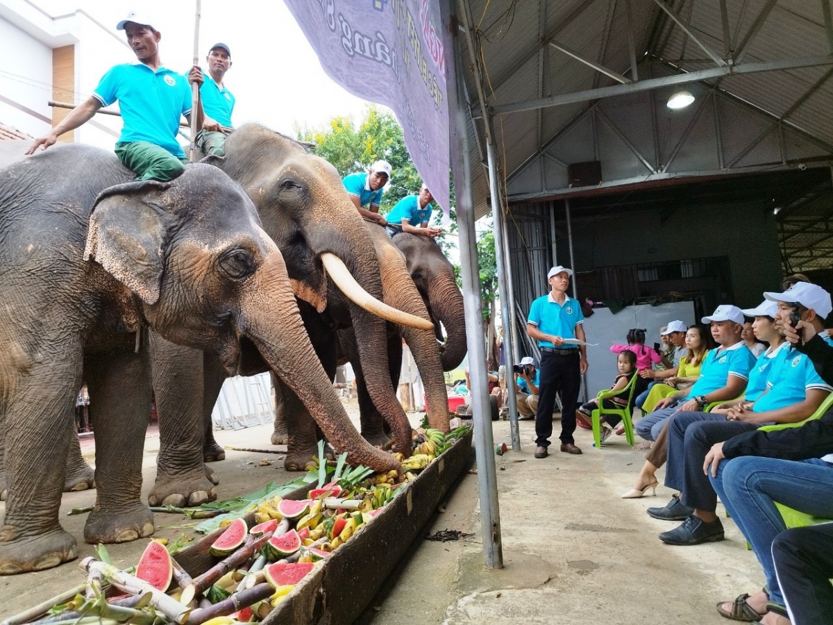 
Hơdôm drơi rơman ƀơi Buôn Đôn amăng sa mông ƀong huă buffet