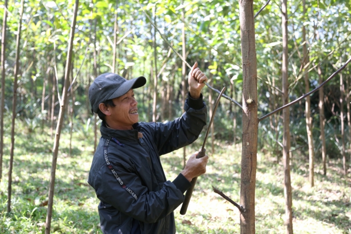 Đảng viên Hồ Phình, kòn cau Mã Liềng lam lài tàm bơtàu tơnguh lơh sa