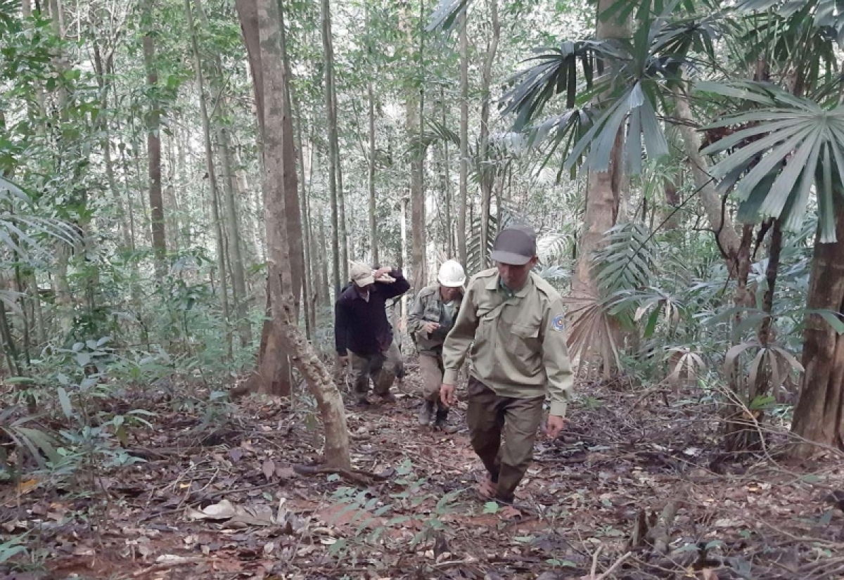 
Lòt sền rơcăng sơndră lài ồs sa tàm Brê dà lơgar Chư Mom Ray