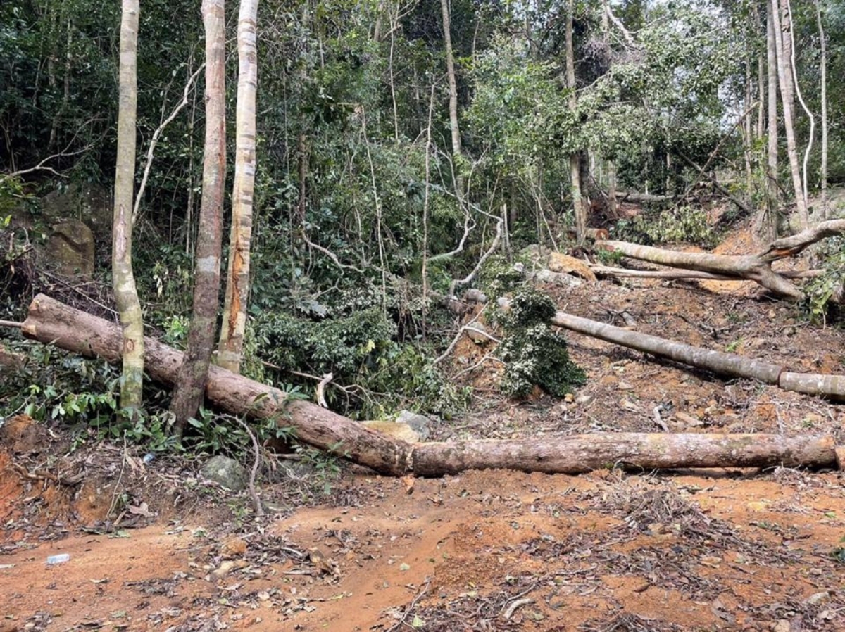 Cha nụp:baodantoc.vn