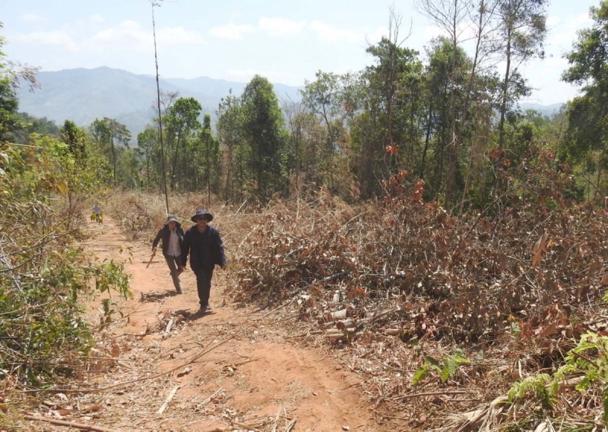Trồ tiah tơngai duh jŏ jòng lơh uă bă brê tàm càr Kon Tum kong mờ jơnau pơhìn gơlik geh ồs sa uă ngan