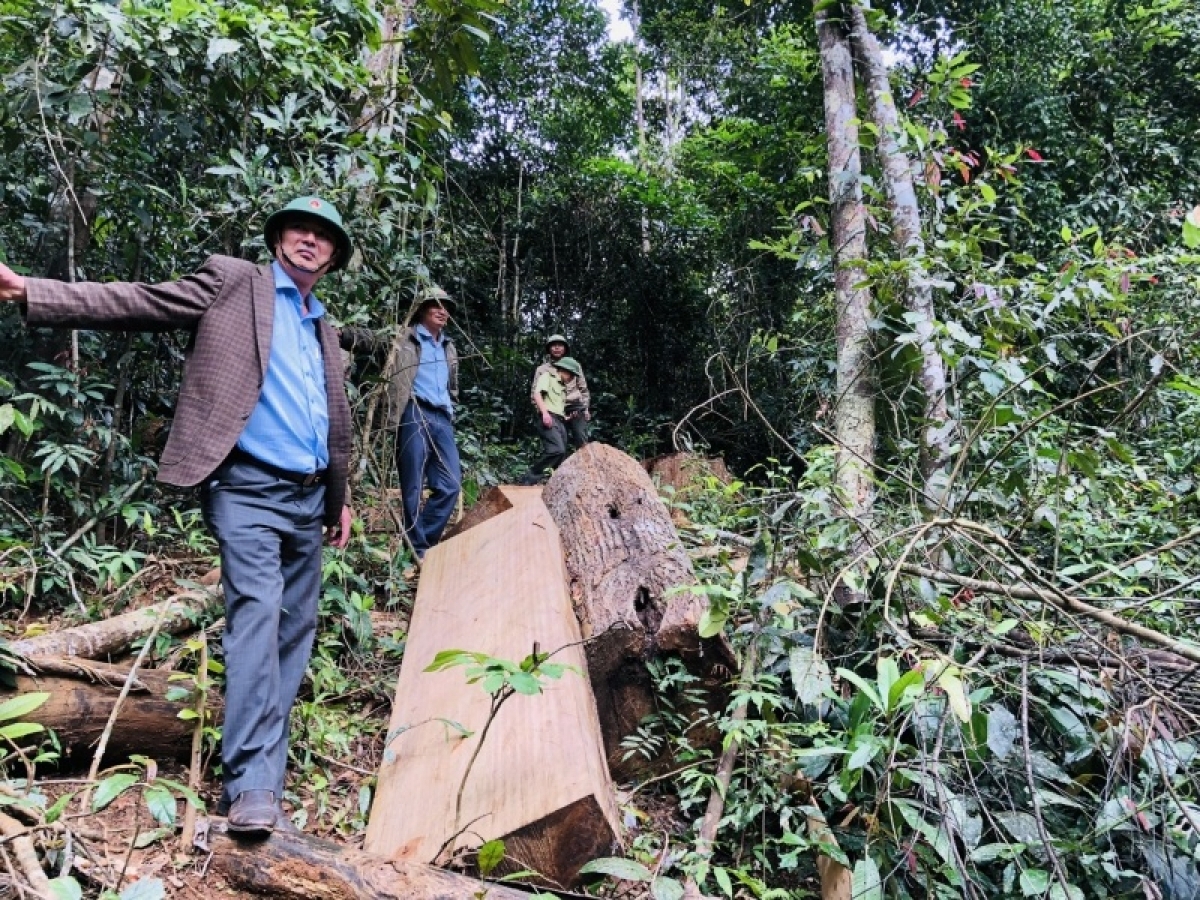 
Anih đei tơdrong phă bri tơ̆ apŭng Kbang, Gia Lai