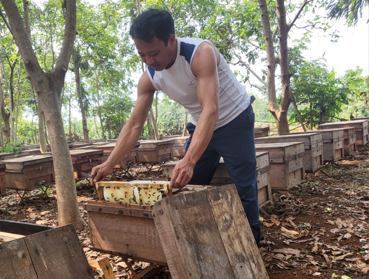 
Ai dà sŭt lơwe bơh tàm thùng