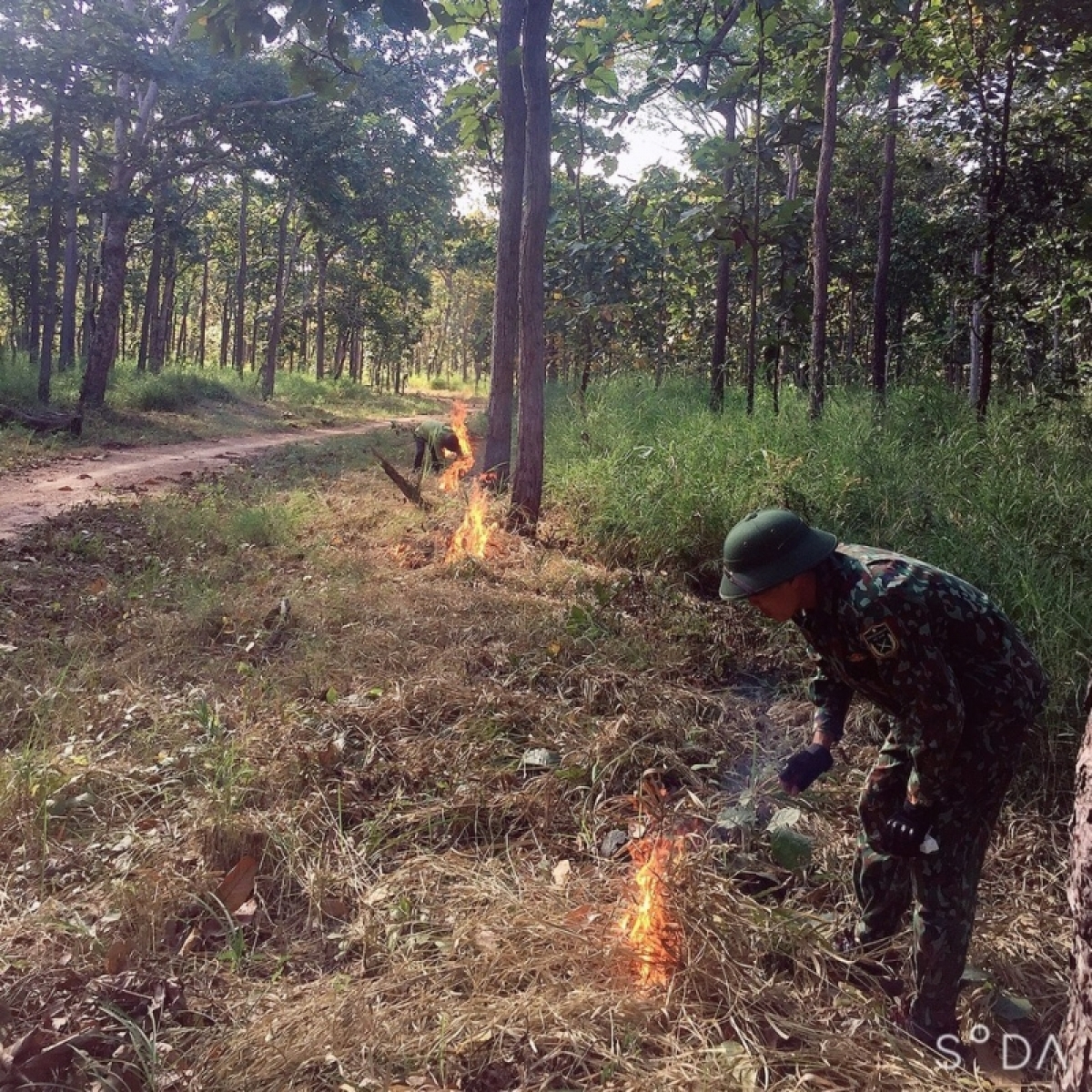 Mpồl kiểm lâm tàm Brê dà lơgar York Đôn, Dăk Lăk lam lơh Chu lài geh bơta gròi sền nhơt ro nàng rơcang sơndră ồs sa brê