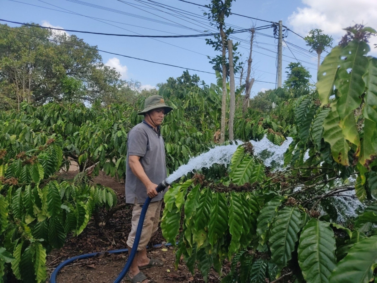 Kuăn pơlê a tơring Čư Mgar tôh têa ăm kơphế