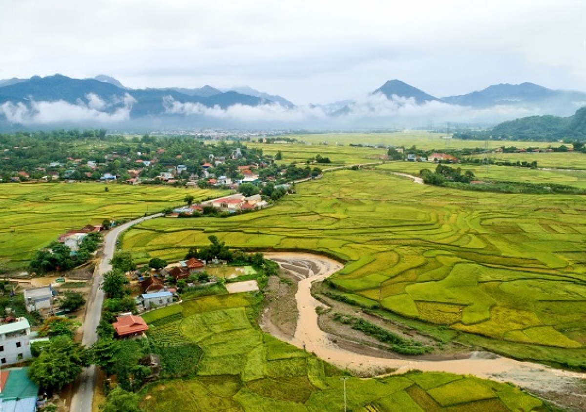 Toàn cảnh cánh đồng Mường Tấc nhìn từ trên cao (ảnh: Báo Dân Việt)