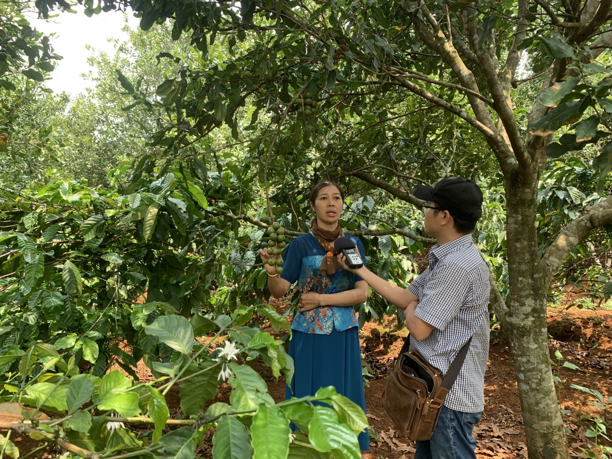 Tòm măk ka bal mờ uă phan tam jŏ tơngai ndai geh bơta kwơ uă gam lơh pas ù tiah Quảng Trực