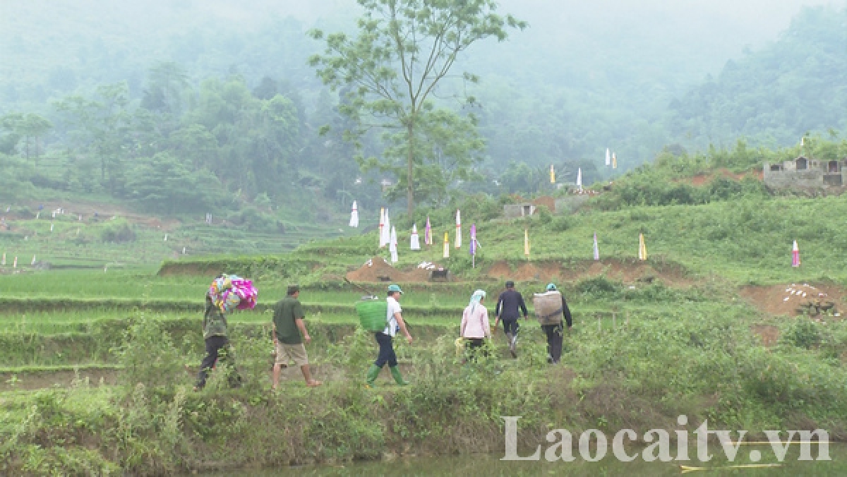 Đồng bào đi tảo mộ trong tết Thanh minh.