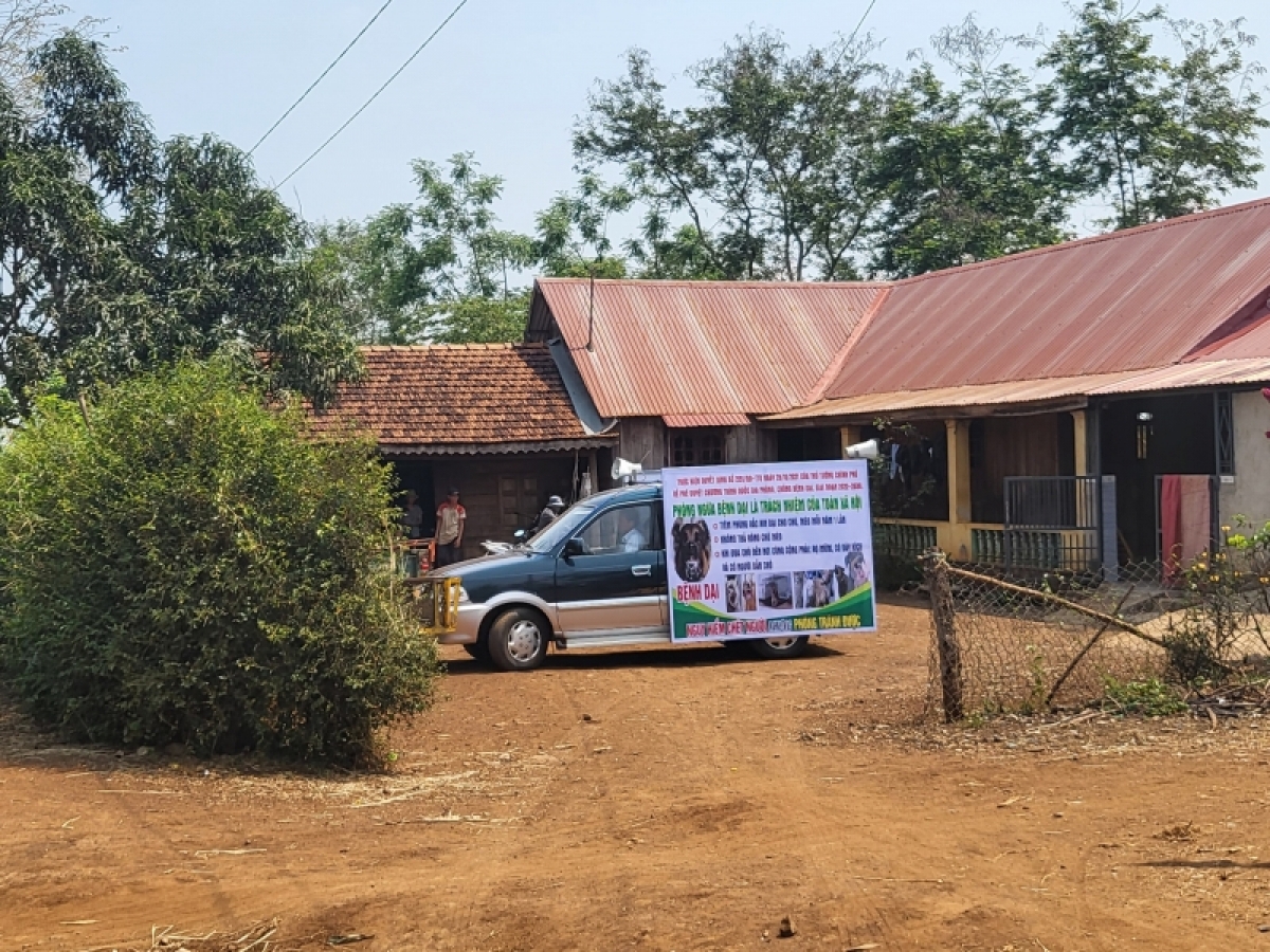 Rơndeh làm bă tiah lòt gùt ƀòn nàng mblàng yal broă cit sơnơm vaccine kòp sơnrang so mèo in