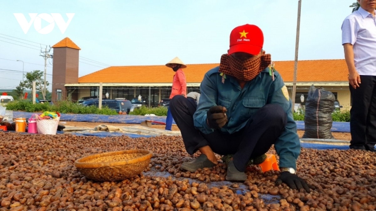 Brei peih ngak dom adat piah ba bruk samu gauk dalam bruk ngak 