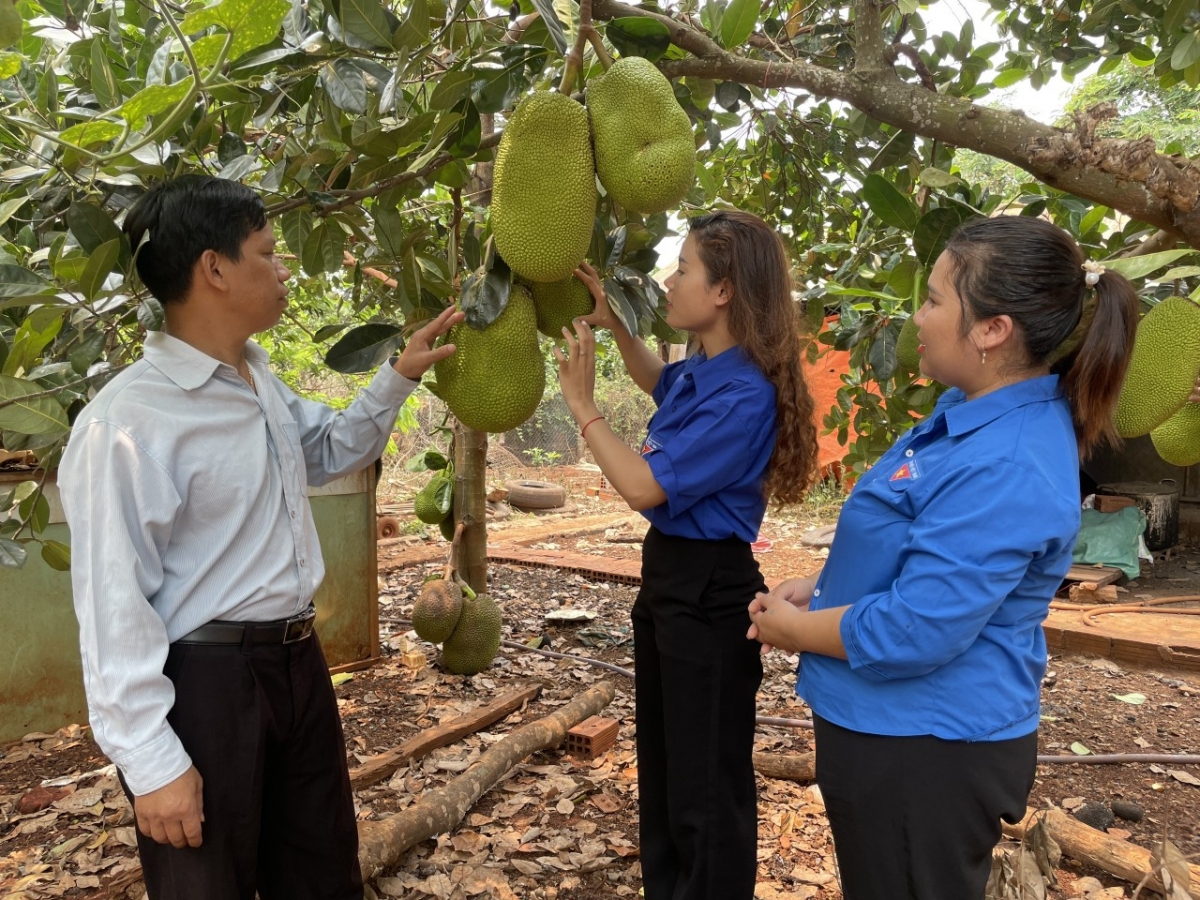 Broă lơh sa suơn sre bơh hìu bơnhă bi Kpă Meo dê geh uă đoàn viên ơruh pơnu lòt sền, đòm jat