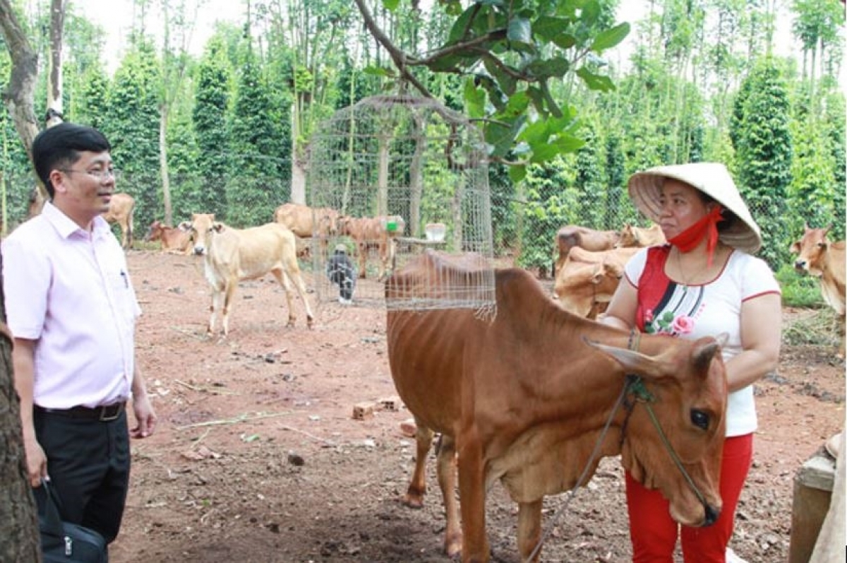 Bà con Chơ Ro ở Bà Rịa - VũngTàu nay đã biết làm kinh tế nhờ sự góp sức không nhỏ của những người có uy tín trong bản, làng (Ảnh baodantocvaphattrien)