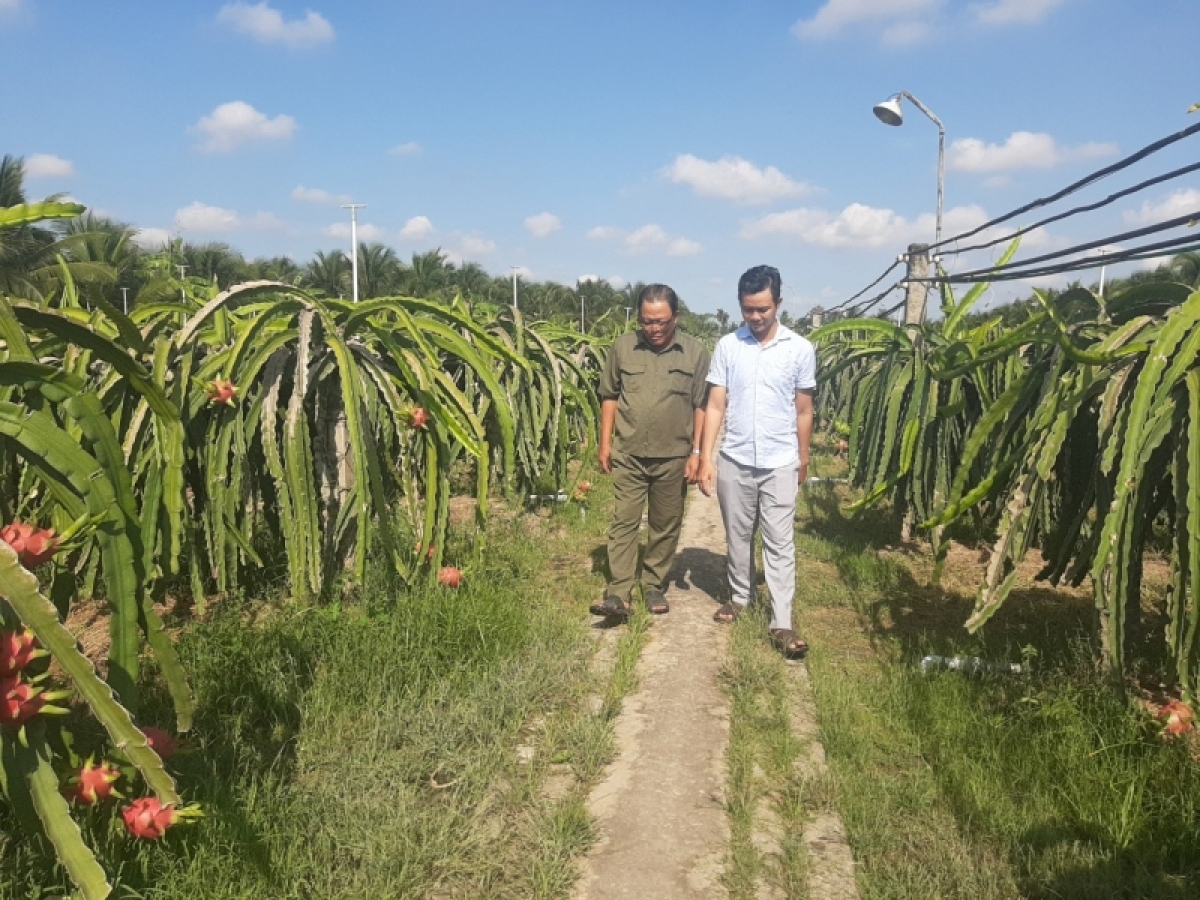 
Kơdrum vâ chê 2 ha loăng plâi rơga klêa bông dêi pôa Lê Văn Thủy