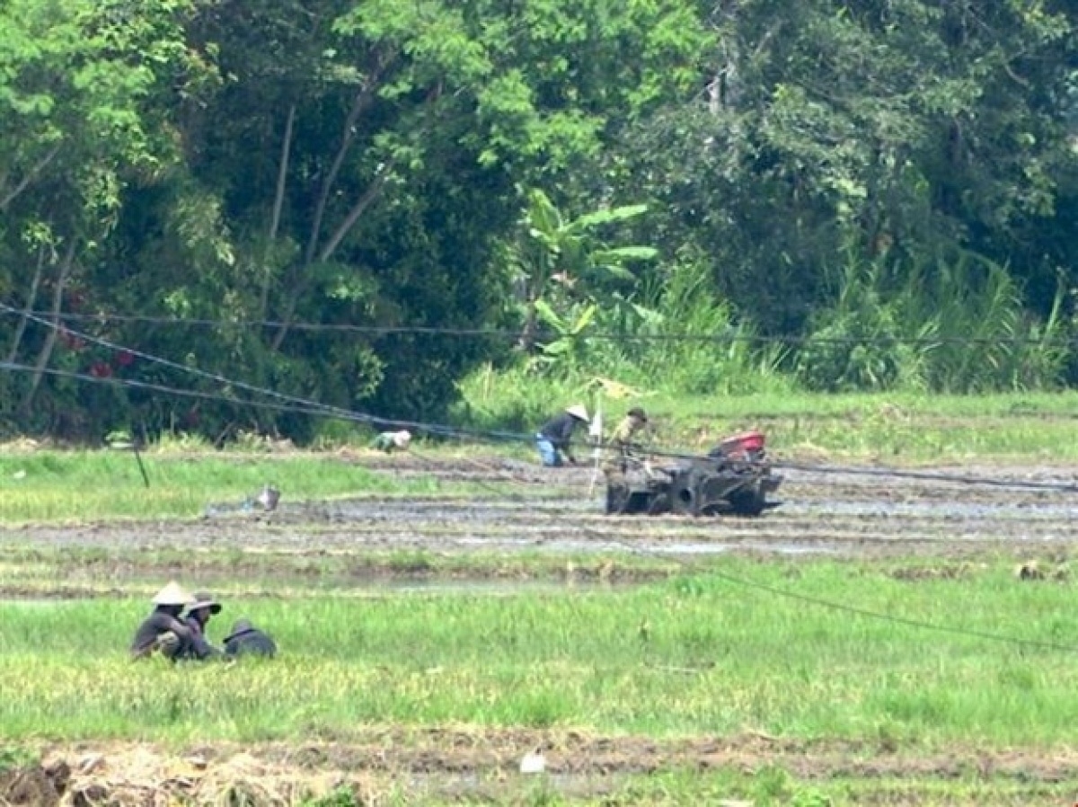 
Kon pơlei hlôi sơđơ̆ng jơhngơ̆m vih hơlơ̆k chă jang sa dơ̆ng. (Rup: Quang Thái/TTXVN)