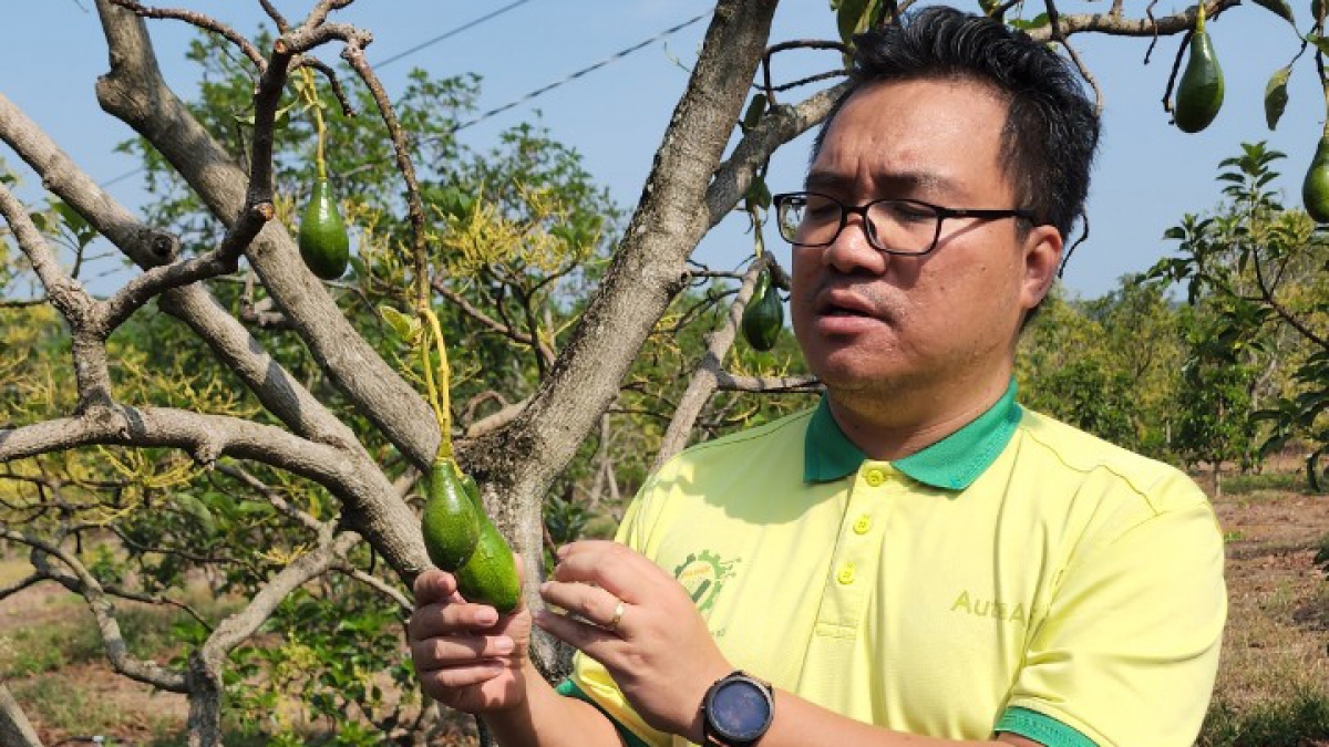 Ayong Đặng Dương Minh Hoàng hmâo ngă tui laih tơlơi čang rơmang mơng ama ñu pla ƀơr Mã Dương