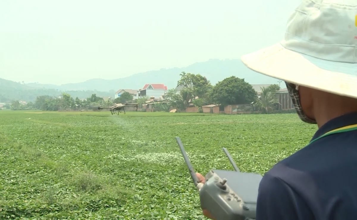 Ba yua măi anai djru pơkrem hrơi bruă, pơđĭ tui boh tŭ yua kơ bruă ngă đang hmua