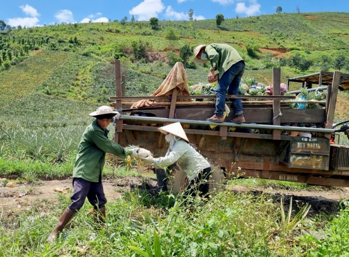 Kon pơlei Cư Drăm pơtăm chik