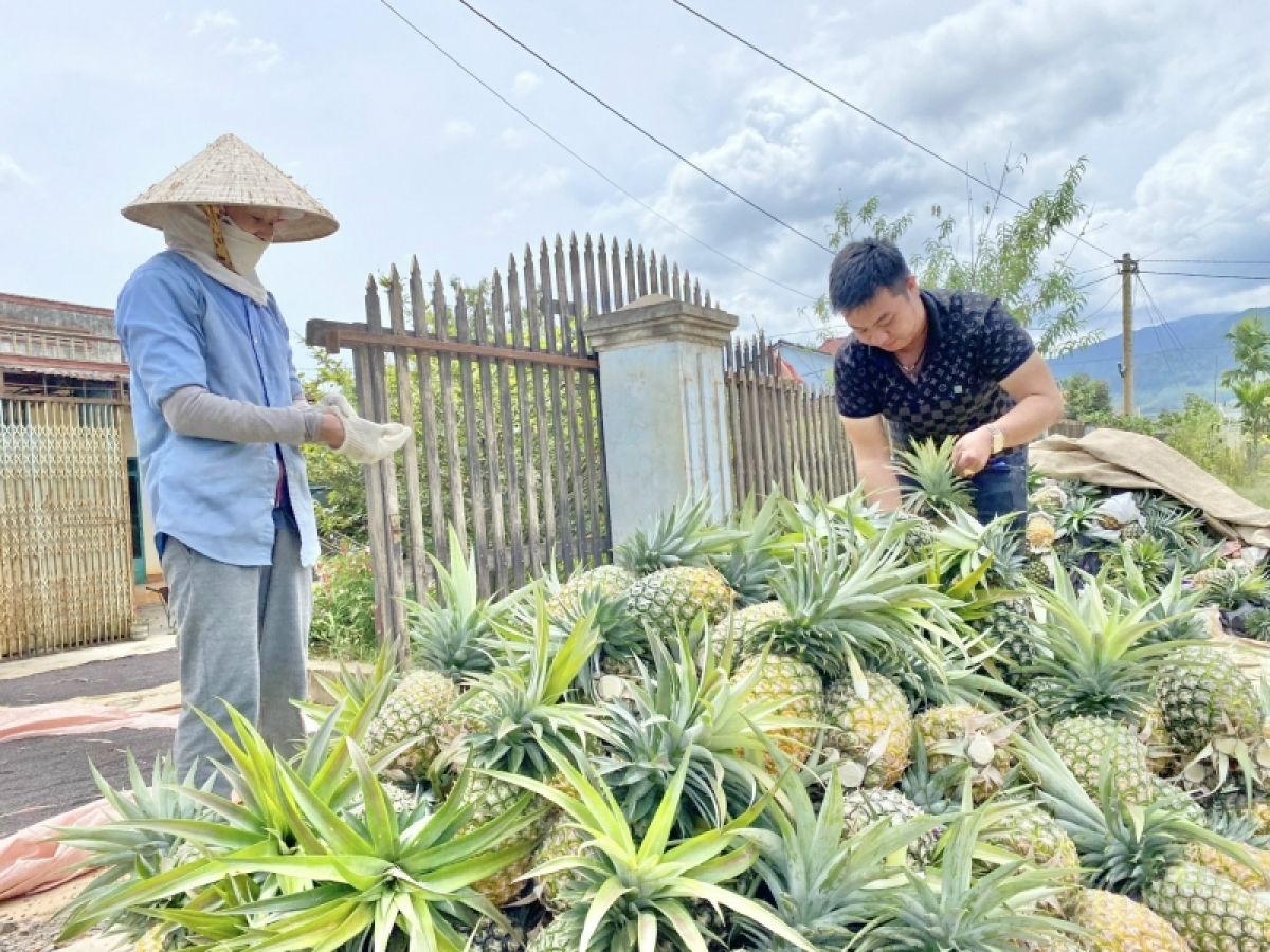 Mĭnh sơnăm chik tơ̆ Krông Bông dang 42.000 tấn plei hơdrih