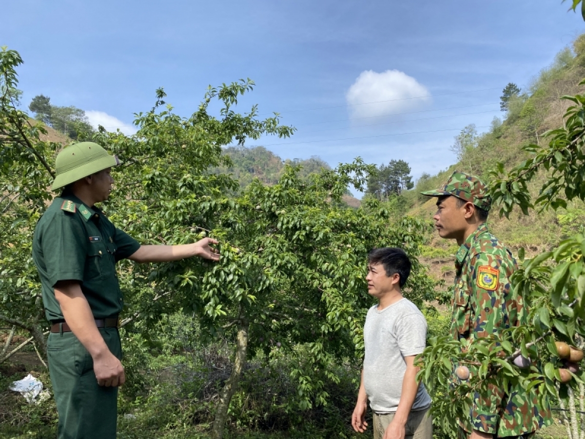 Mir tơm mận bah tahen-ƀon lan