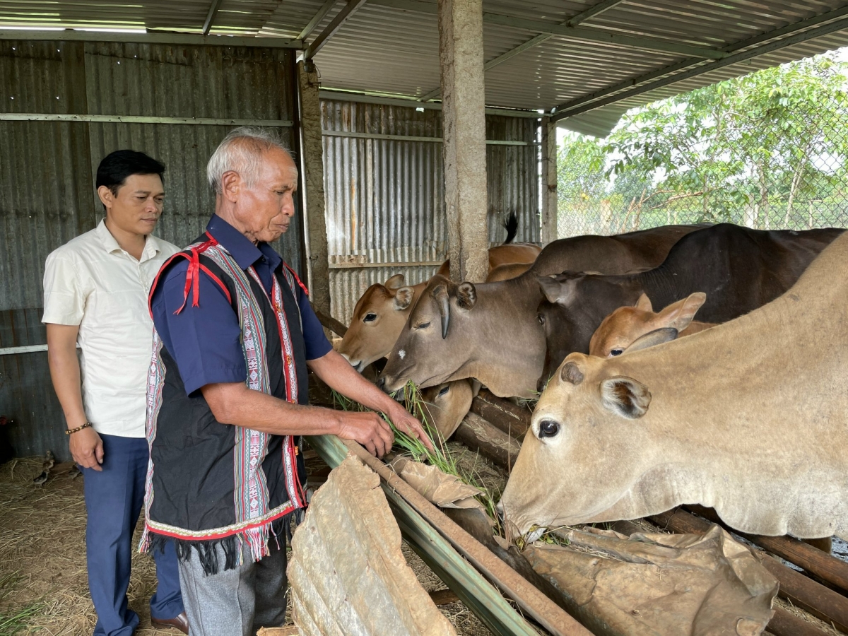 Bu ranh Puih Duch ntĭm nau mât rong ndrôk