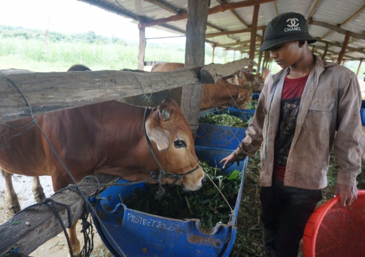 Sang anŏ ayong Đinh Văn Hiơp (ƀơi Gia Lai) hơmâo laih 9 drơi rơmô