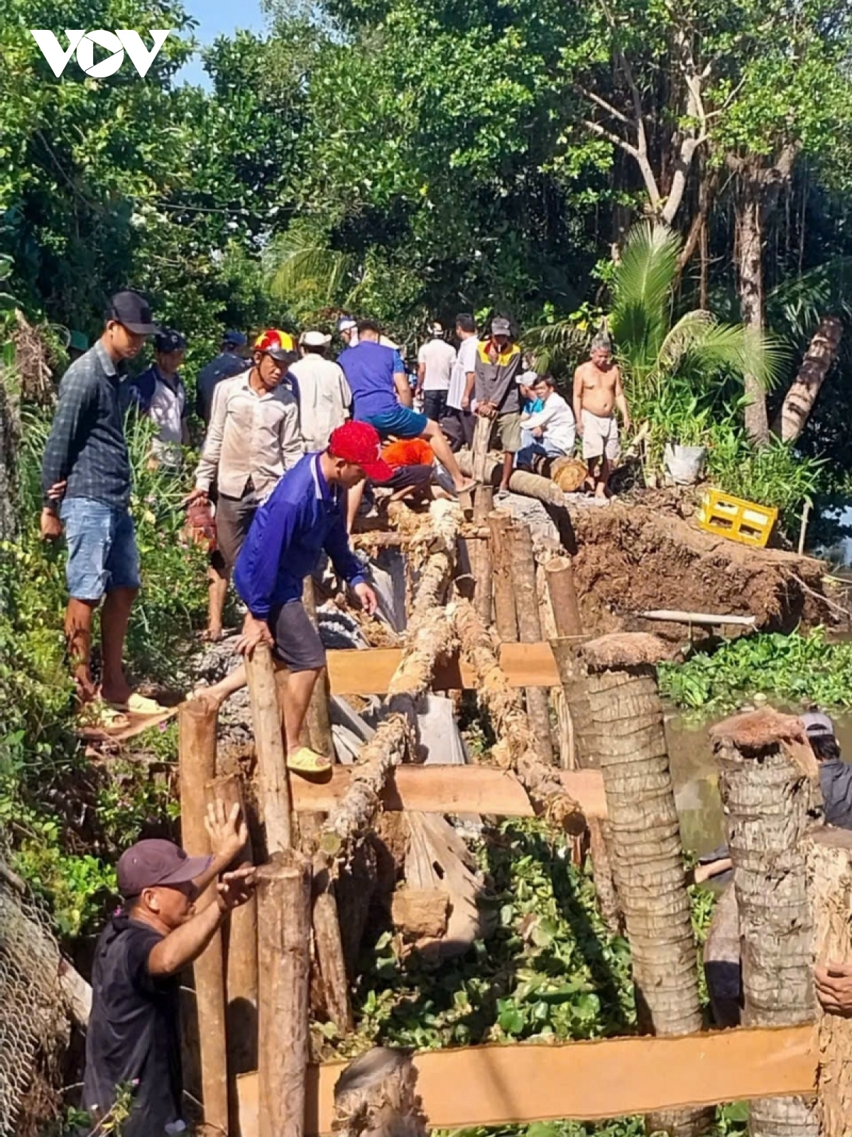 Padang jamang pacang glut jaleih taneh