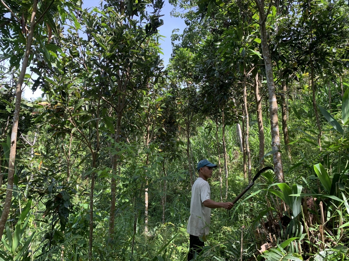 ẢNH TÚ VÂN