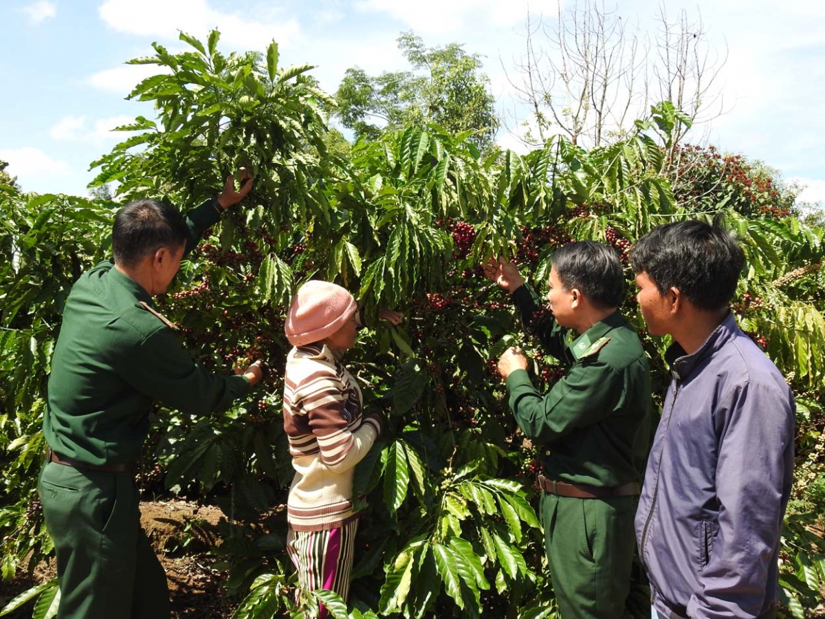 Mpồl ling sền gàr tiah nhàr lơgar càr Kon Tum bơto pơlam làng bol kòn cau Sơdàng pĭc kơphê gàr bơta niam