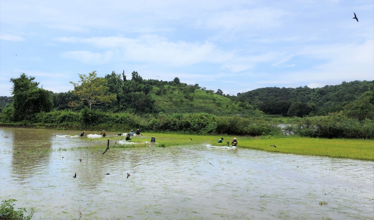 Mơnuih ƀôn sang tơring glông Krông Ana, Dak Lak hlăk yuă pơdai ƀơi hmua ia lip