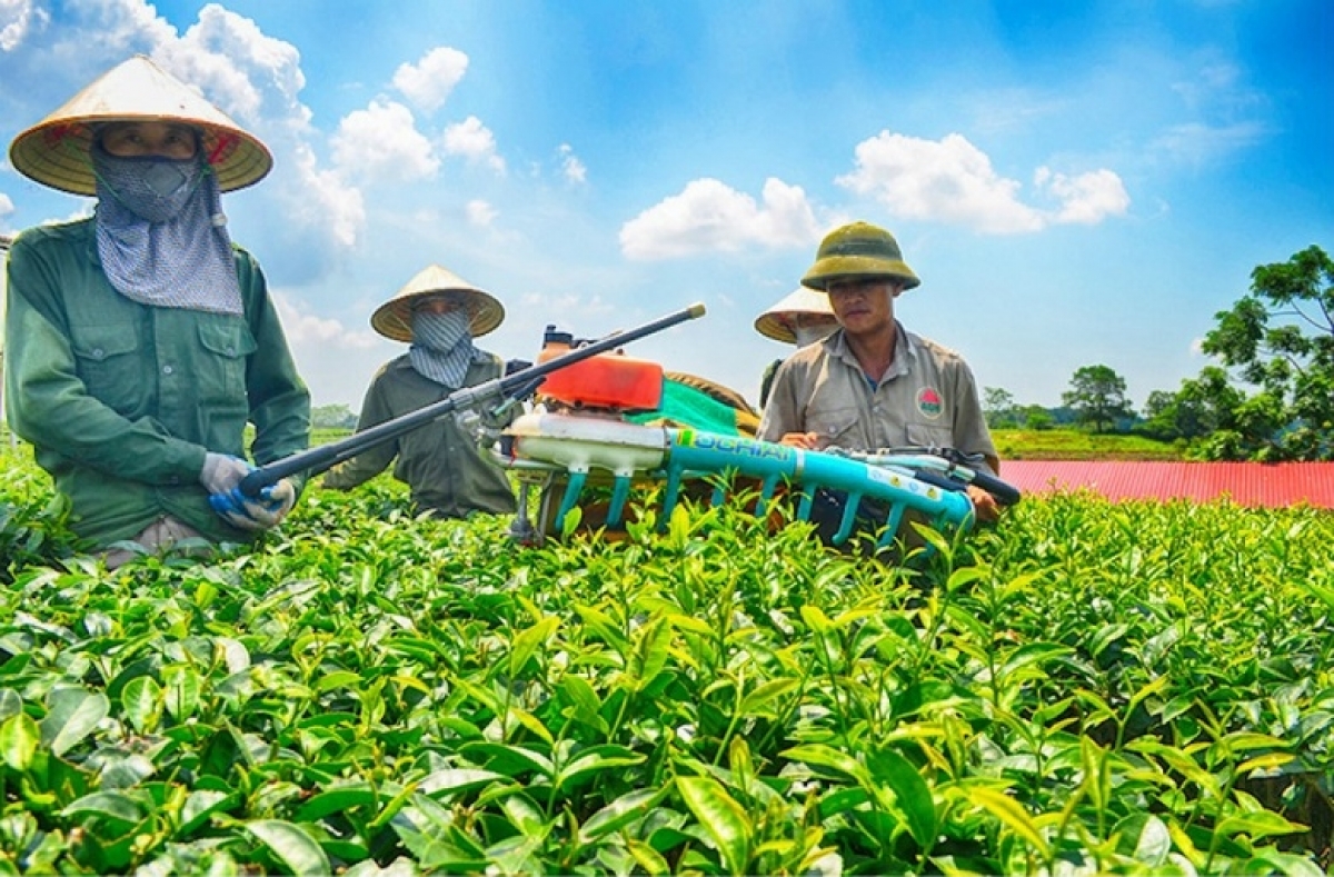 Than Uyên đang đổi thay nhờ vào chuyển đổi cơ cấu kinh tế. Ảnh KT