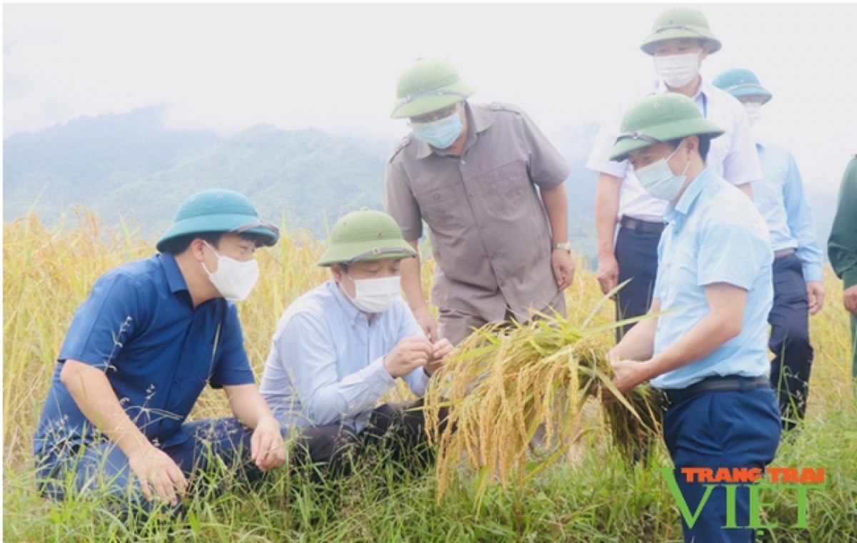 Nhiều mô hình nông dân sản xuất giỏi xuất hiện nhở chuyển đổi cơ cấu kinh tế. Ảnh KT